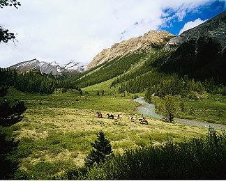 《夜族崛起》迎来免费周末，马上领取免费DLC！